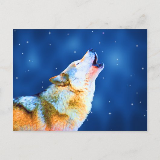 ミッドナイト・ハウル・はがき ポストカード (正面)