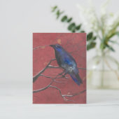 ミッドナイト・レイベン ポストカード (スタンド正面)