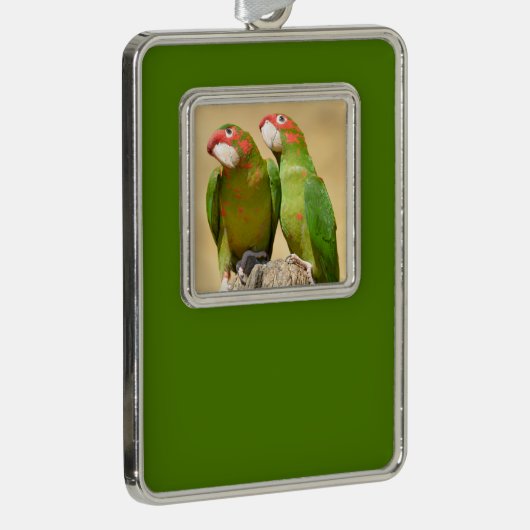 ミッレッド・パレーケ上の木製ポスト葉書スクエアスティック シルバープレートフレームオーナメント (右)