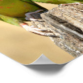 ミッレッド・パレーケ上の木製ポスト葉書スクエアスティック ポスター (角)