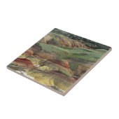 ミッ色彩の鮮やかチェル·ジョン·デイ·フォッシル·ベッド タイル (側面)