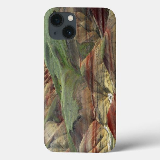 ミッ色彩の鮮やかチェル·ジョン·デイ·フォッシル·ベッド Case-Mate iPhoneケース (裏面)