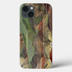 ミッ色彩の鮮やかチェル·ジョン·デイ·フォッシル·ベッド iPhone 13ケース