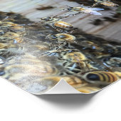 ミツバチが手を握っている フォトプリント            (角)