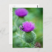 ミツバチとアザミ ポストカード (正面/裏面)