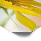 ミツバチとヒマワリ フォトプリント            (角)