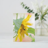 ミツバチとヒマワリ ポストカード (スタンド正面)