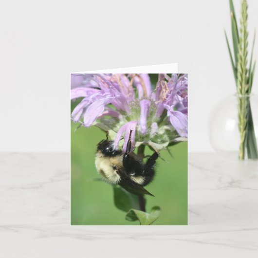ミツバチとモナルダの花の写真 ノート (正面)