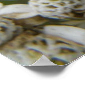 ミツバチと花ポスター ポスター (角)