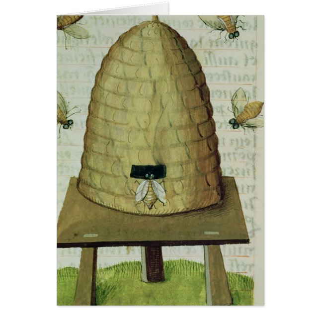 ミツバチの巣および蜂 (正面)