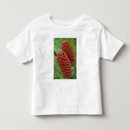 ミツバチの巣ショウガ (Zingiber spectabile) トドラーTシャツ (正面)