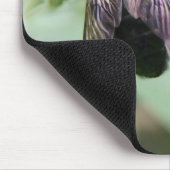 ミツバチの美しさ マウスパッド (コーナー)