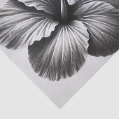 ミツバチの詳細マクロビュー 薄葉紙 (詳細)