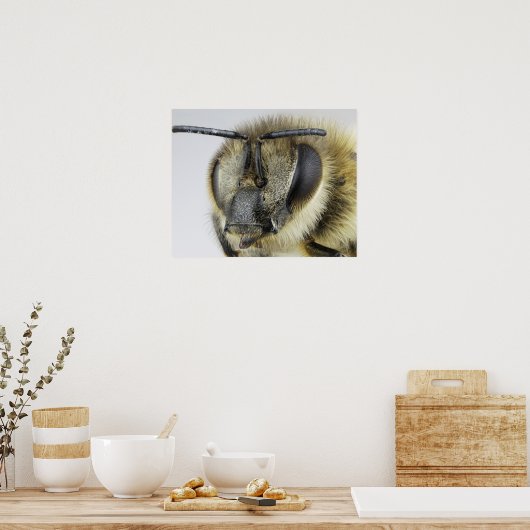 ミツバチの頭 ポスター (キッチン)
