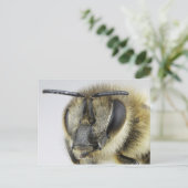 ミツバチの頭 ポストカード (スタンド正面)