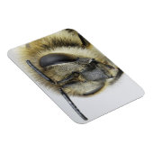 ミツバチの頭 マグネット (右側)