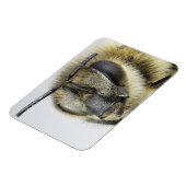 ミツバチの頭 マグネット (左側)