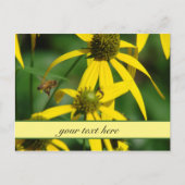 ミツバチの飛行 ポストカード (正面)