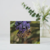 ミツバチは濃い青の花を楽しむ ポストカード (スタンド正面)