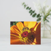 ミツバチ受粉フラワー ポストカード (スタンド正面)