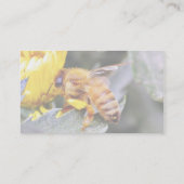 ミツバチ類3 名刺 (裏面)