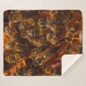 ミツバチ7 シェルパブランケット (正面(横))