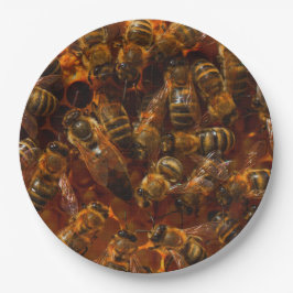 ミツバチ7 ペーパープレート