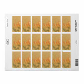 ミディアムピーチバラ薬用ラベル ラベル (フルシート)