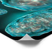 ミトコンドリアの顕微鏡的見解2 ポスター (角)