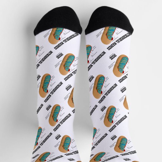 ミトコンドリア生物学におけるミトコンドリアの狂気 ソックス (上部)