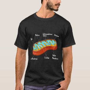 ミトコンドリア細胞生物学生物学研究科茶 Tシャツ