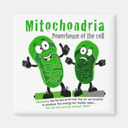 ミトコンドリア・パワーハウス マグネット (正面)