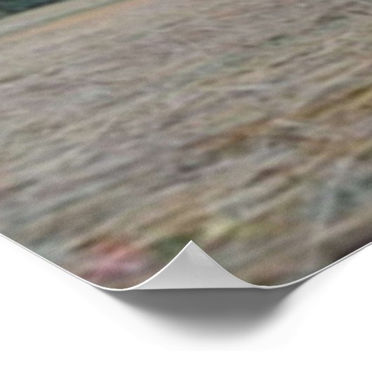 ミドソンマーメイクィーンダニアルドールフィレンツェ ポスター (角)