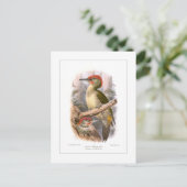 ミドリゲラズ ポストカード (スタンド正面)