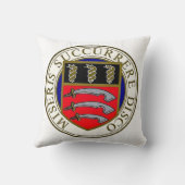 ミドルセックスの病院のクッション クッション (裏面)