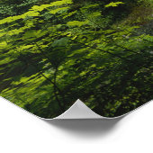 ミドルノース秋シルバー秋州パーク ポスター (角)