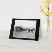 ミドルバーグ競馬ステージコーチ1926 カード (黄色い花)