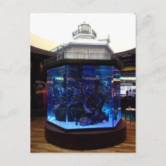 ミドルベイライトハウスフィッシュタンク ポストカード