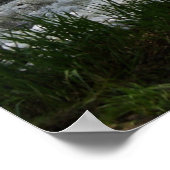 ミドルベリー秋ズインミドルベリー，バーモント ポスター (角)