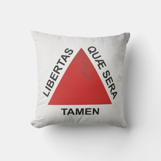 ミナスジェライス クッション (正面)