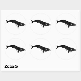 ミナミセミクジラ ラウンドシール
