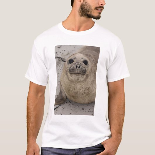 ミナミゾウアザラシ (Mirounga leonina) Tシャツ (正面)