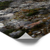 ミナレツパノラマオーバーナイディバーレイクス – シエラ ポスター (角)