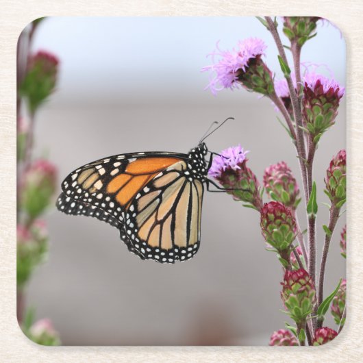 ミナーチ五徳 スクエアペーパーコースター (正面)