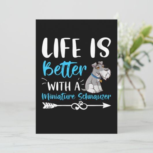 ミニアおもしろいの方が女子シュナウザーの方が良い 案内状 (スタンド正面)