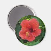 ミニアートレッドハイビスカス マグネット (正面/裏面)