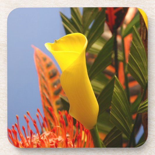 ミニイエローカリリリー コースター (正面)