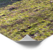 ミニウマのポスター ポスター (角)