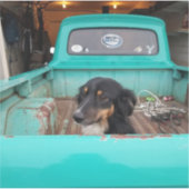 ミニオーストラリア シール (正面)