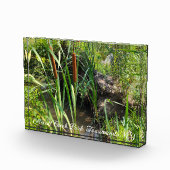 ミニカタルズラグーン フォトブロック (右)